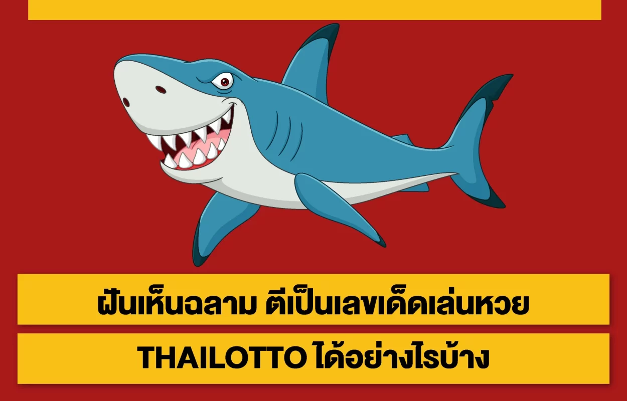 ฝันเห็นฉลาม-เลขเด็ดTHAILOTTO